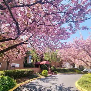 Apartament Modern 1Br Retreat In Elkins Park - Long Term Willow Grove Exterior photo