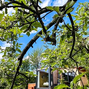 Bed and Breakfast Elysian Fields - The Island Tiny House Sadu Exterior photo