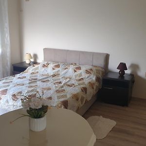 Apartments Kamenjar Nowy Sad Room photo