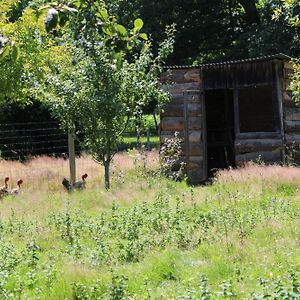 Willa Ecogite Rural La Cle Des Champs Peyrelongue-Abos Room photo