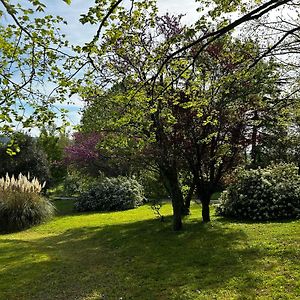 Au Bonheur Dupre B&B Montoire-sur-le-Loir Exterior photo