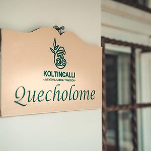 Koltincalli Xico Room photo