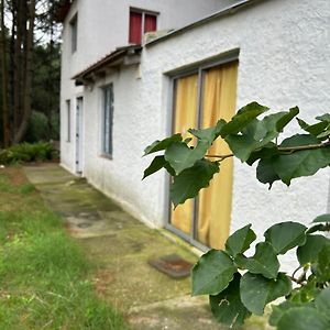 Willa Jaureguiberry Exterior photo