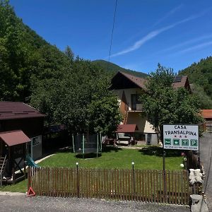 Hotel Pensiunea Casa Transalpina Şugag Exterior photo