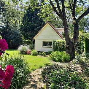 Bed and Breakfast De Boogschutter - Kersenboom Langenboom Exterior photo