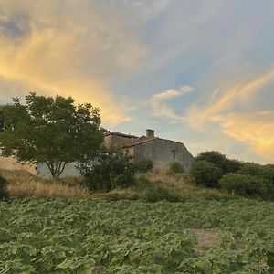 Willa La Chaumiere Salles-Lavalette Exterior photo