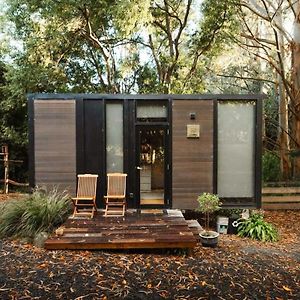 Willa Pekapeka Tiny House By Tiny Away Owaka Exterior photo