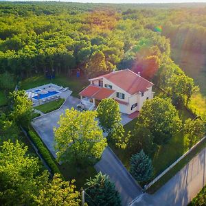 Holiday Home 'Old Oak' - With Pool, Garden With Fresh Vegetables And Private Forrest! Imotski Exterior photo