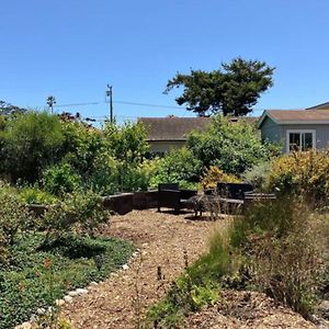 Willa Westside Beach Retreat Santa Cruz Exterior photo