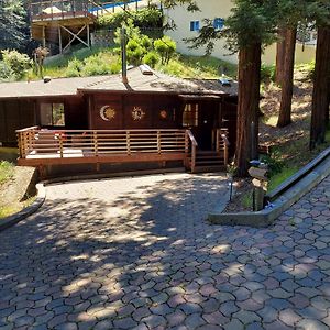 Willa Redwood Retreat Walk To Downtown Mt Tam Muir Woods Mill Valley Exterior photo