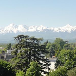 Apartament Cap Sud - 53M2- Vue Pyrenees- Hypercentre-Wifi Fibre Tarbes Exterior photo