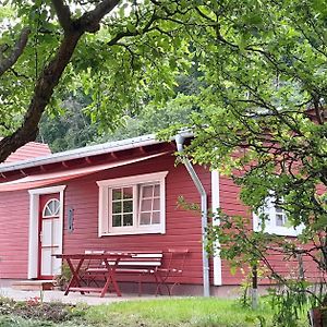 Willa Ferienhaus Am Wald Wippra Exterior photo