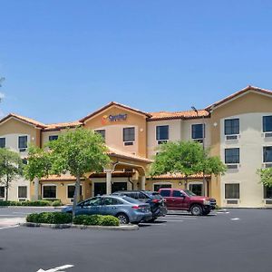 Comfort Inn & Suites Northeast - Gateway Sankt Petersburg Exterior photo