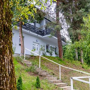 Hotel Penzion Stalica Prievidza Exterior photo