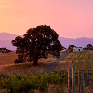 Willa Hounds Run Vineyard - Tiny House In The Grampians Great Western Exterior photo