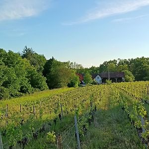 Willa Gite Au Coeur D'Un Vignoble Saint-Aignan  Exterior photo