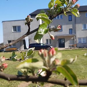 Noclegi nad Biebrzą Stara Szkoła Wrocen Exterior photo