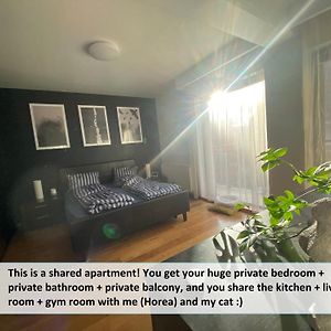 Funkadelic Retreat Transylvania, Private Room&Bath In Shared Apartment With Host&Cat Kluż-Napoka Exterior photo