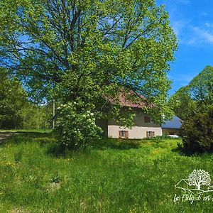 Willa La Fuly D'En Haut Le Grand-Abergement Exterior photo