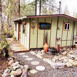 Willa Mt Rainier Little Green Cabin On Big Creek! Ashford Exterior photo