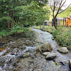 Hotel Transfagarasan River Retreat Arefu Exterior photo