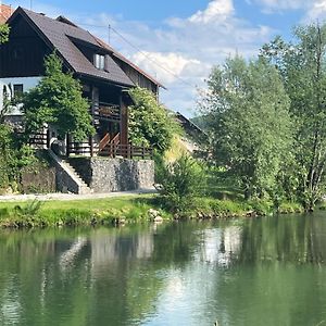 Willa Riverside House Krka Zagradec Exterior photo