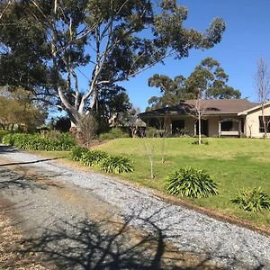 Willa Cozy House In The Vineyard Hahndorf Exterior photo