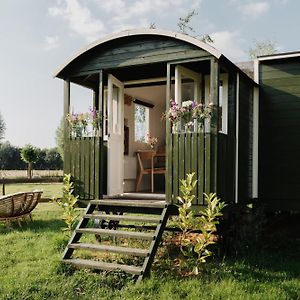 Willa Tiny House De Skure Harelbeke Exterior photo