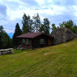 Apartament Chalet Al Sasso Da Pino, Telve Ospitar Exterior photo