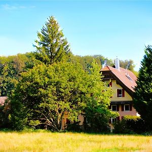 Bed and Breakfast Nisihof, Buurenzimmer Family Or Single Oberkirch Exterior photo