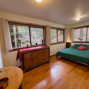 Apartament Little House In The Redwoods Garberville Exterior photo