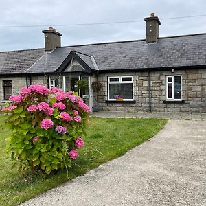 Willa Granite Bungalow Dublin Exterior photo