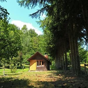 Willa Planinska Kuca Palacinka Despotovac Exterior photo