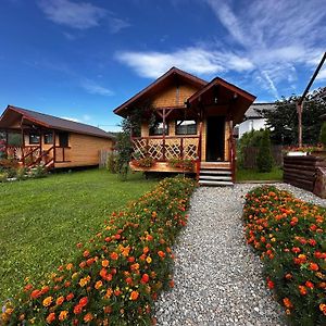 Willa Baltina Parc Transfagarasan Curtea de Argeş Exterior photo