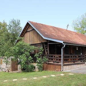 Willa Wooden House Mali Vrh Kamanje Exterior photo