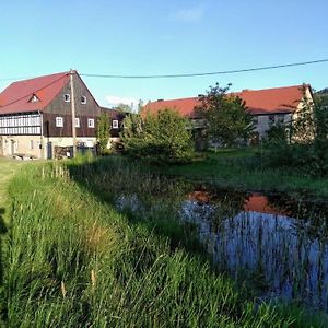 Willa Saalendorf - Holidays Großschönau Exterior photo