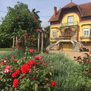 Willa Bourgogne Grande Maison Avec Jardin A La Francaise Pontailler-sur-Saone Exterior photo