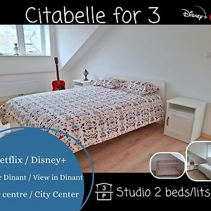 Hotel O Reflets - Citabelle For 3 - Studio 2 Beds View "Citadelle" Dinant Exterior photo