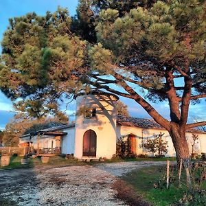 Willa Le Castel De Lamothe Sauternes Exterior photo