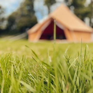 Hotel Fully Furnished Bell Tent 1 St Austell Exterior photo