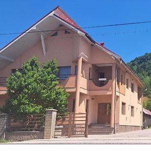 Apartament Casa Ofrim, Barsana, Maramures Bîrsana Exterior photo