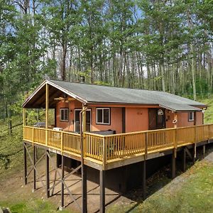 Willa Modern Cabin W Hot Tub, Wifi & Huge Deck! Hedgesville Exterior photo