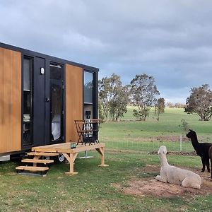 Willa Grampians Views Moyston By Tiny Away Exterior photo