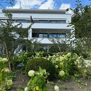 Neue Ruhige Penthauswohnung-Albblick Balingen Exterior photo