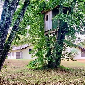 Willa Le Refuge Des Bois Villandraut Exterior photo