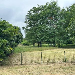 Willa Domain De Montvert - 5 Min From Saint Emilion Sainte-Terre Exterior photo