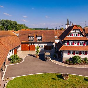 Apartament Remise 67 - Historisches Anwesen Beim Maison 1775, Mit Sauna, Wissembourg, Elsass Ingolsheim Exterior photo