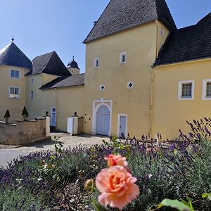 Hotel Schloss Thorn Palzem Exterior photo