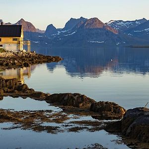 Willa Minkfarmen, Spacious Seaside Cabin With Scenic View Ramberg Exterior photo