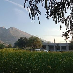 Hotel Sariska Nature Estate Thana Ghazi Exterior photo